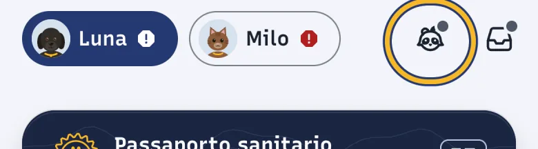 Barra in alto di DoctorBau; evidenziata l'icona di Momo, «Chiedi a Momo».