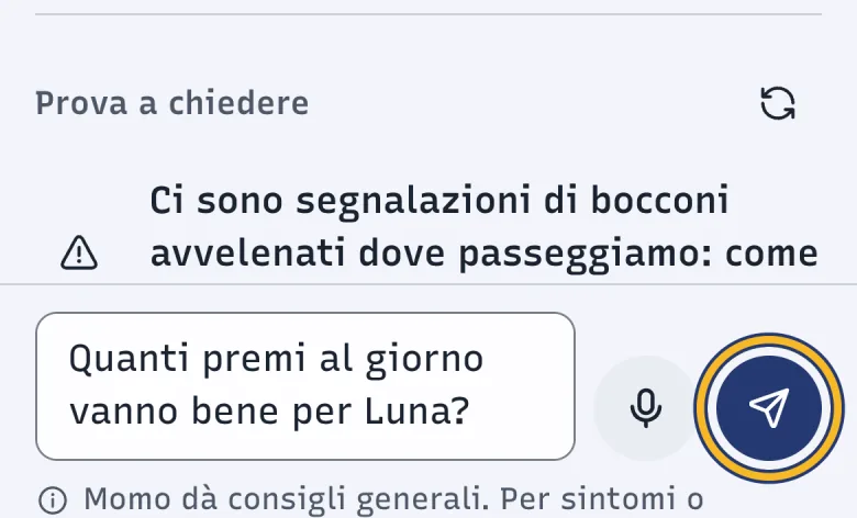 Parte bassa della schermata Momo di DoctorBau con Prova a chiedere e una domanda scritta; evidenziato il pulsante «Chiedi».