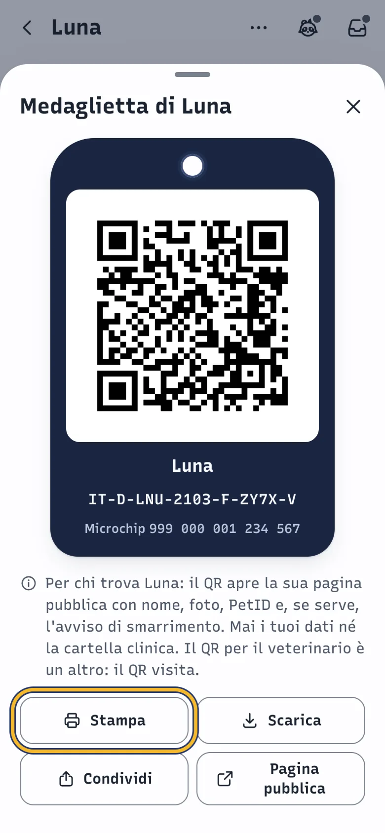 Foglio Medaglietta di Luna in DoctorBau con il QR e i pulsanti Stampa, Scarica, Condividi e Pagina pubblica; evidenziato «Stampa».