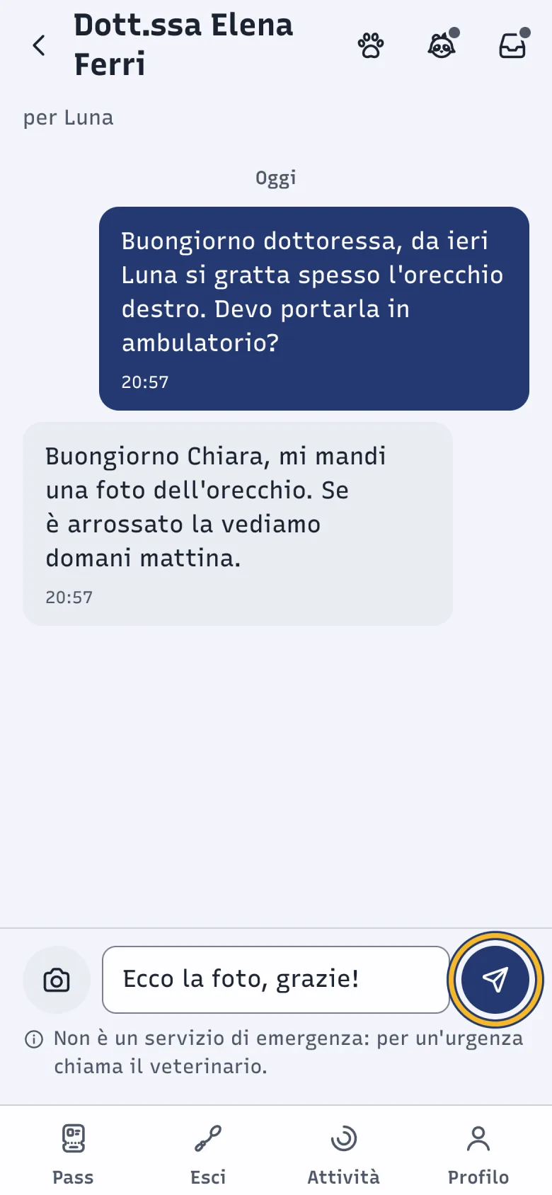 Conversazione con la Dott.ssa Elena Ferri in DoctorBau, con i messaggi su Luna; evidenziato il pulsante Invia.